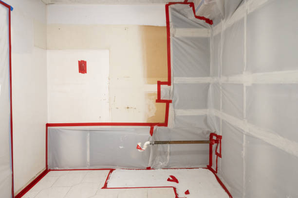 Reliable Brandon, SD Mold Removal Solutions