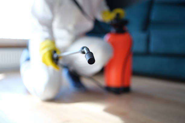 Best Dehumidification Services  in Brandon, SD